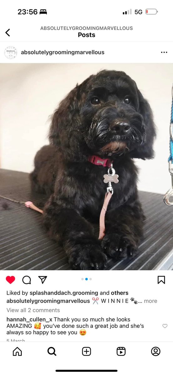 Missing Pets GB tweet media