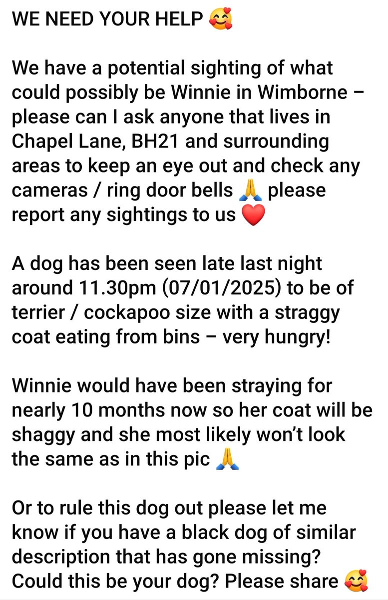 Missing Pets GB tweet media