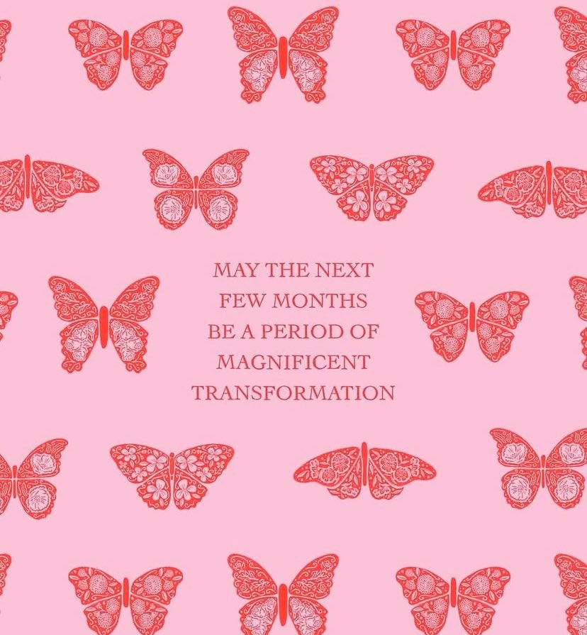 🤍🤍🤍 @the.beau.studio