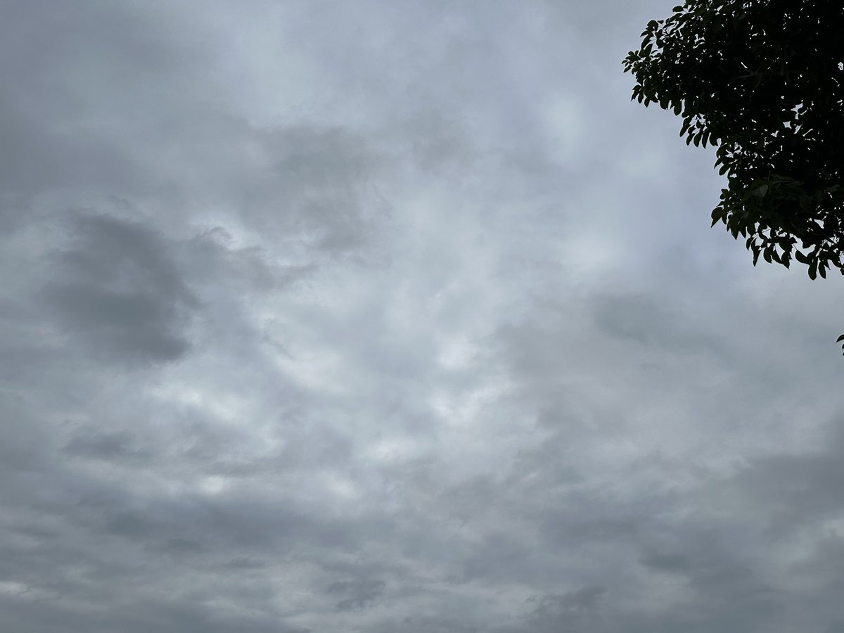ClimaYucatan's tweet photo. ⛅️ Lo que nos dicen las nubes…
Actualmente tenemos cielo completamente nublado en Mérida por nubes Stratocumulus.
Se trata de una capa delgada de nubes en niveles bajos de la tropósfera que son parte del vapor de agua que levantó el aire frío asociado al frente frío #Makech (núm.21) conforme avanzó sobre el Golfo de México.
Es común que este tipo de nube venga acompañada a las masas de aire frío que llegan a nuestra región