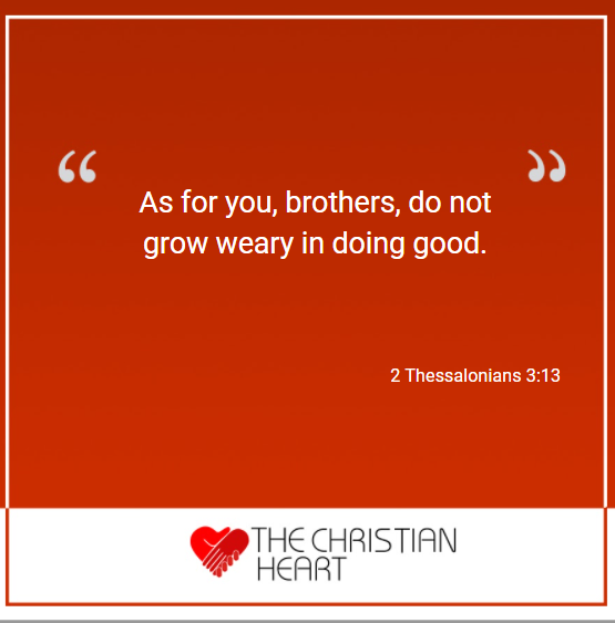 thechristianhrt's tweet photo. The Bible is God’s Word to us. Each book reveals more about His heart. The Bible shows us God's holy, unchanging, faithful, gracious and loving character. We publish these Bible verses each day to help draw us all closer to Him.
#Jesus #Bible #Christian #Christianity https://t.co/KCdtw8V9y7