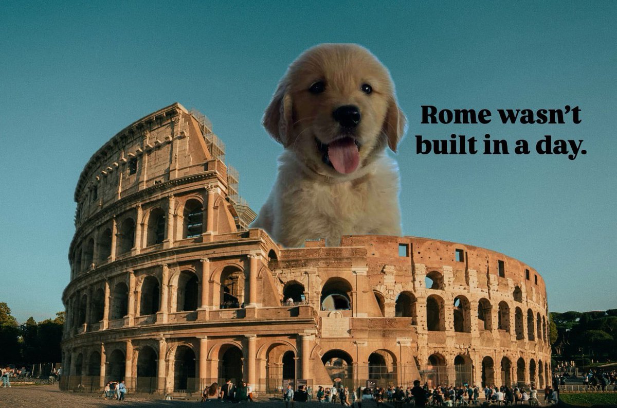 Taking time to build greatness.

$7anni