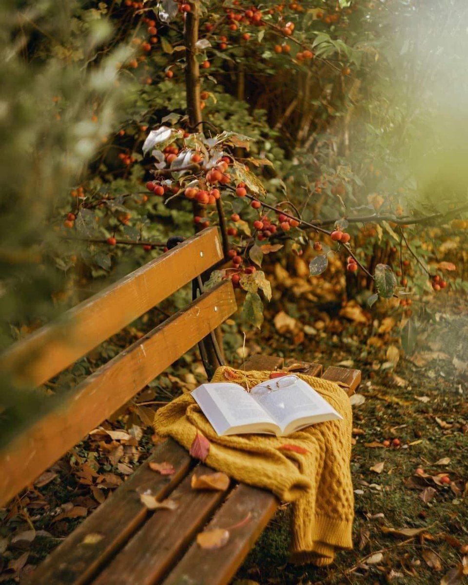 يارب غير أقداري الي ما اتمني ،، واجعلها للأفضل ،، وخذ معك ذنبي و همي و تعبي  و أرني الجمال في ما تبقي لي من عمري ،، اللهم حين تواجهنا الحياة بما لا نحب ،، حبب إلينا ما أخترت لنا وعلمنا الرضي ،، اللهم لا هزيمة في منتصف الأشياء ،، اللهم بلغنا تمامها ،، أو أنزعها من قلوبنا 💜