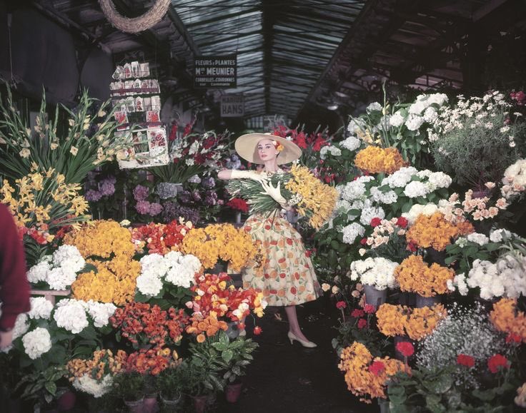 hepburn archive ౨ৎ tweet media