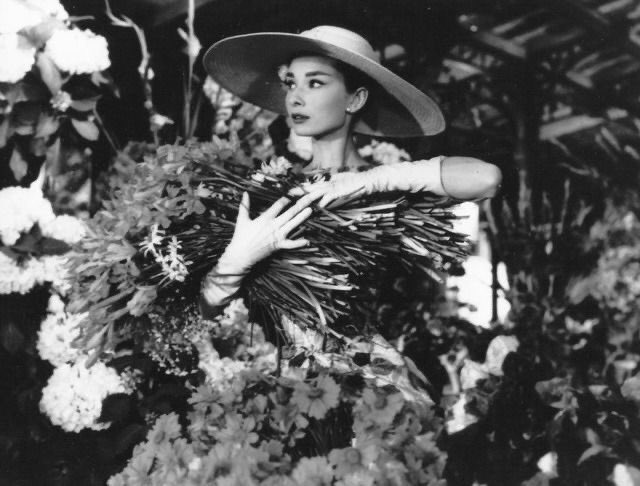 hepburn archive ౨ৎ tweet media