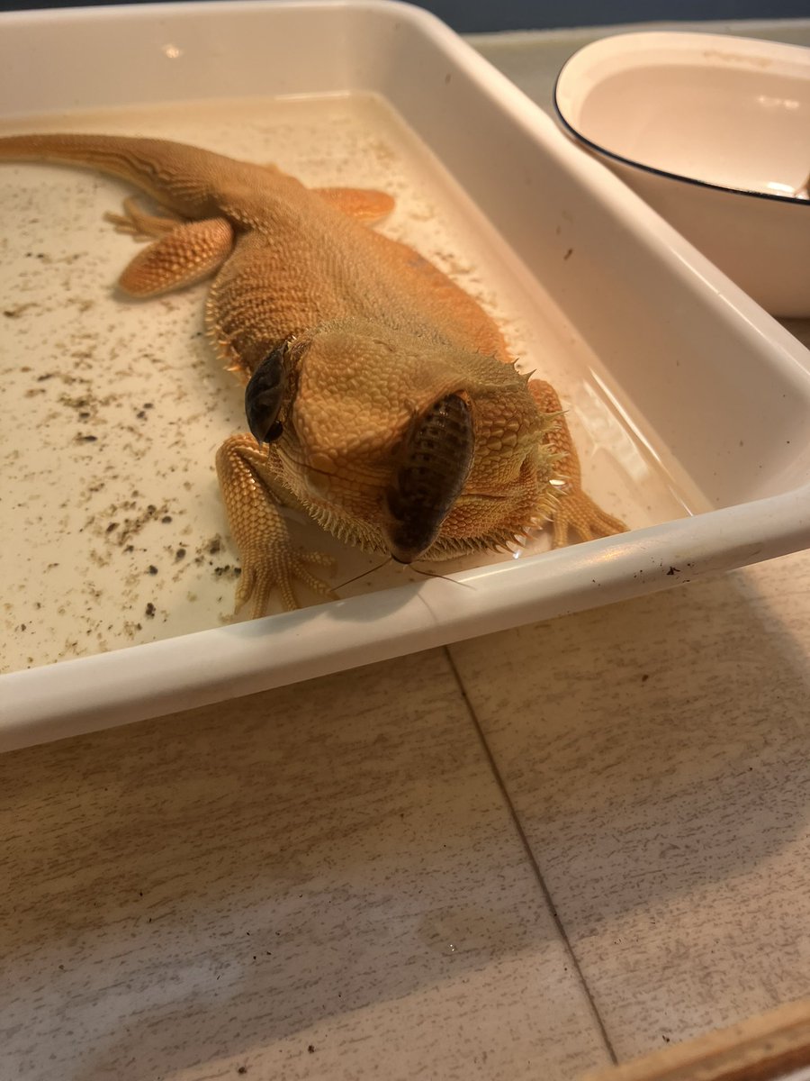 おはようございます😃