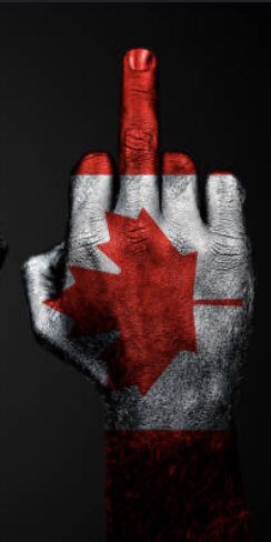 BluenoserGalNS's tweet photo. This special salute is going out to @realDonaldTrump Sit on it an rotate 

❤️ This Canadian 🇨🇦🇨🇦🇨🇦 https://t.co/j8kZYDvLm3