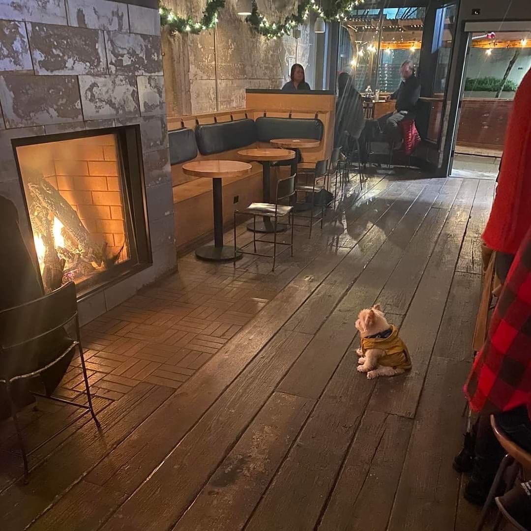 Here we have just a little guy, toasty and content as he reflects on his day. 13/10 would try my best not to disturb him