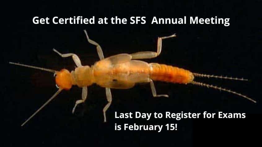 Freshwater Science (@benthosnews) on Twitter photo Would you like to receive taxonomic certification for aquatic invertebrate or diatom identifications in North America at the #2025SFS meeting? Fill out the interest form by Feb 15 to let us know that you want to take a certification exam. stroudcenter.org/event/sfstcp-e… Would you like to receive taxonomic certification for aquatic invertebrate or diatom identifications in North America at the #2025SFS meeting? Fill out the interest form by Feb 15 to let us know that you want to take a certification exam. stroudcenter.org/event/sfstcp-e…