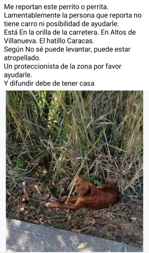 yaracalcagno's tweet photo. Urge rescate y atención. https://t.co/FwhNOPPPHd