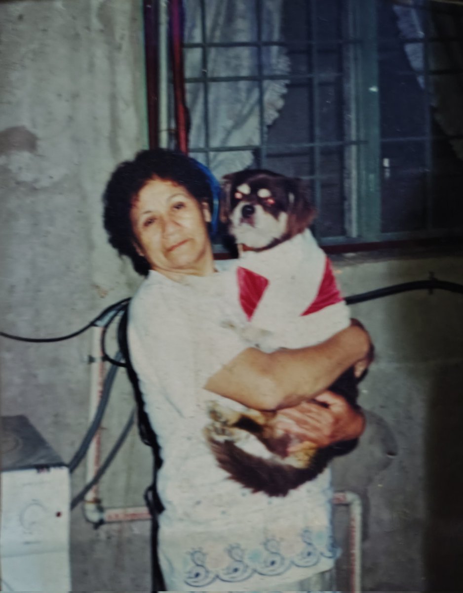 maxii 🤷🏻‍♂️ tweet media