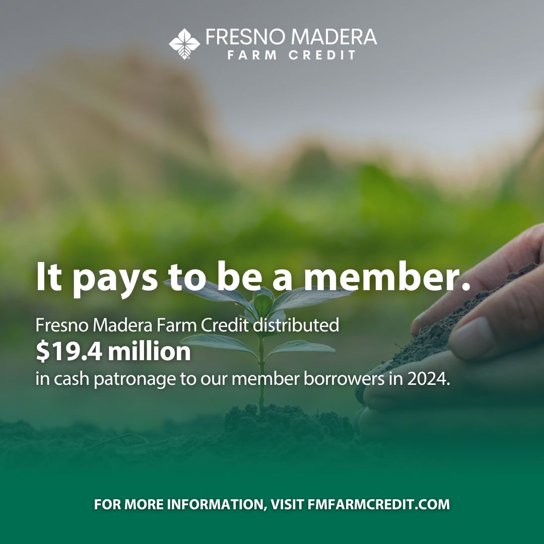 FresnoMaderaFC's tweet image. At FMFC, it PAYS to be a Member! 😎 Since 2019, we’ve returned nearly $76 million to our members!

Want to learn more about our incredible Patronage Program? Check out the details on our website: 👇
fmfarmcredit.com/Programs/Patro…

#patronage #farmcredit #farmerprograms