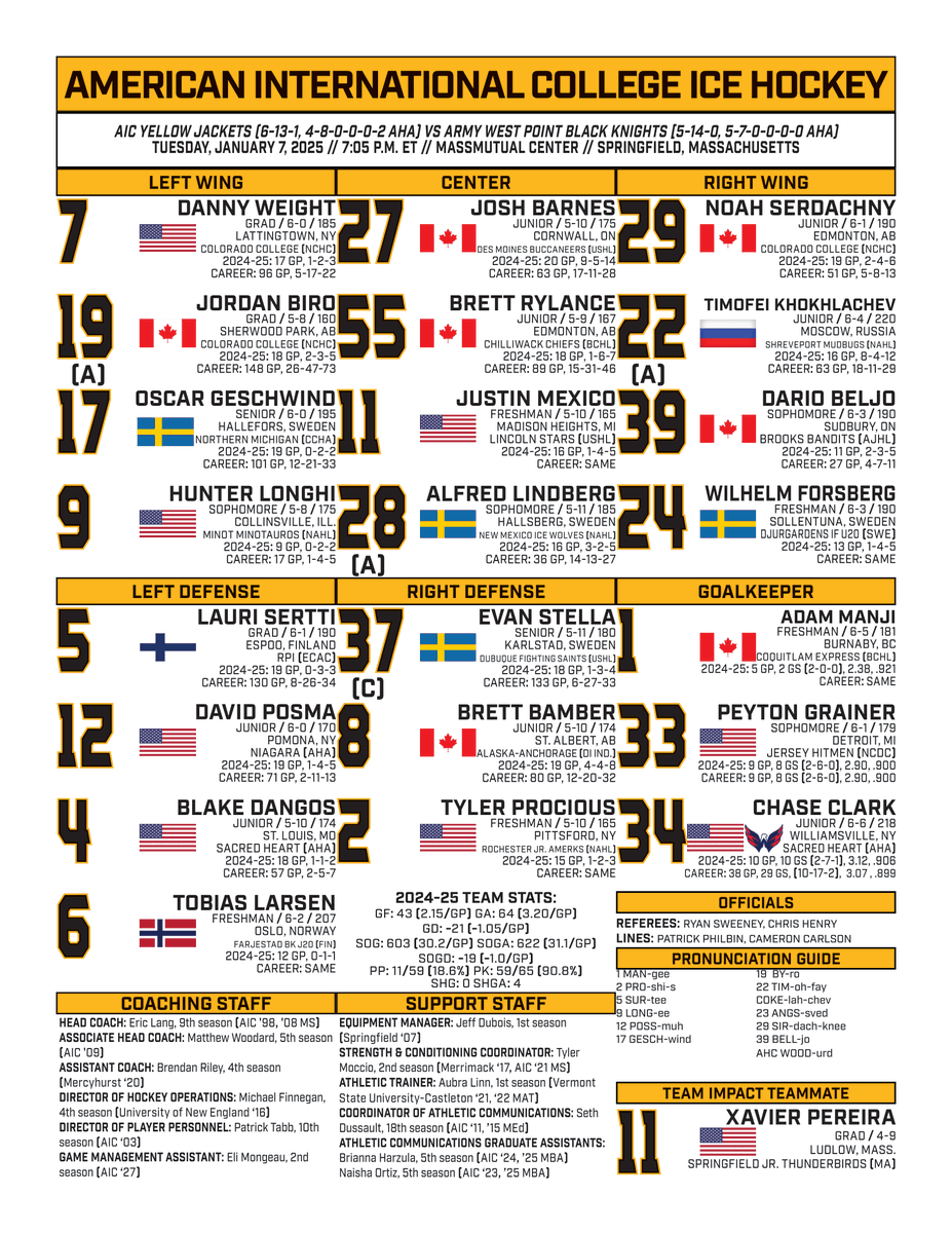 AIC Hockey tweet media