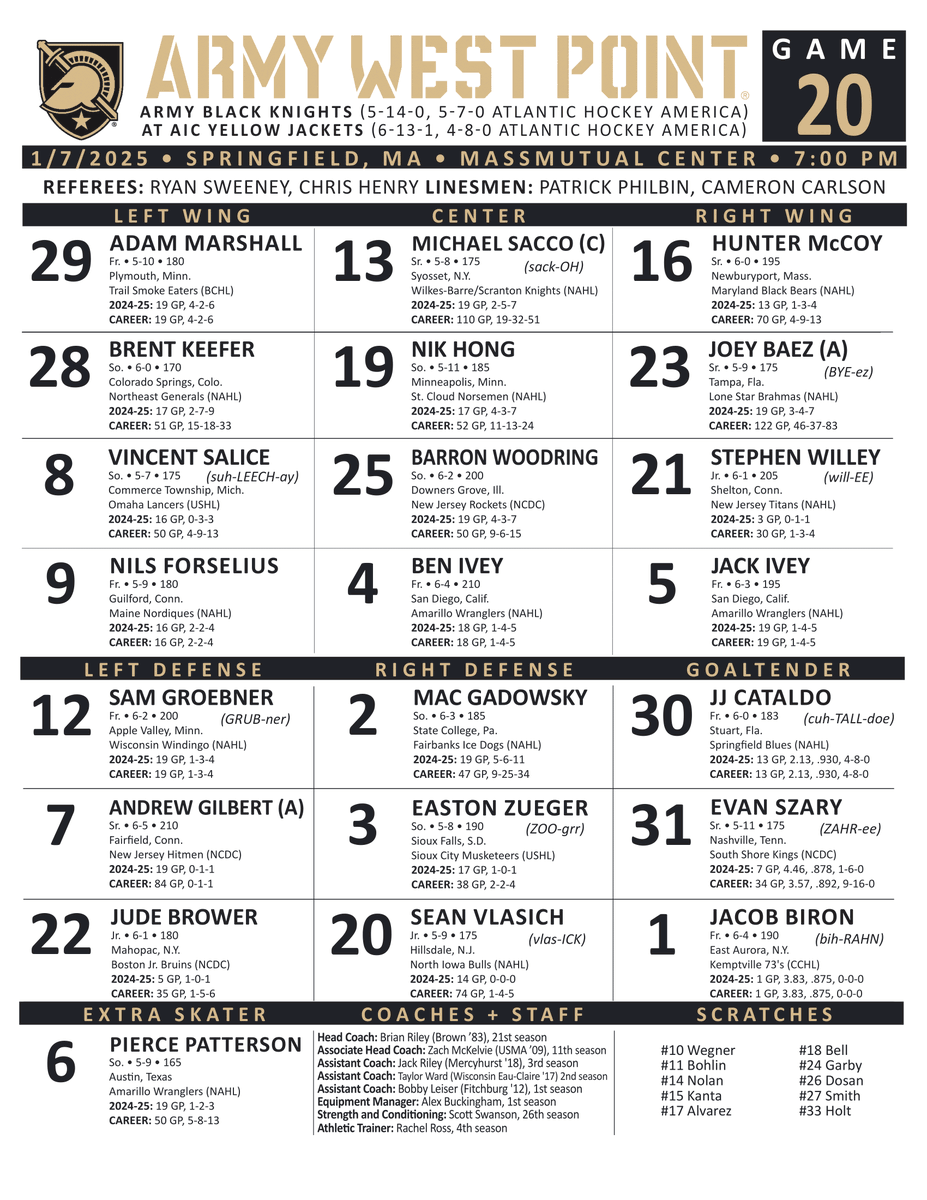 AIC Hockey tweet media
