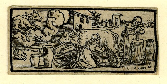 Women's work - milking and churning - images from the 16th &amp; 17th centuries  (British Museum)