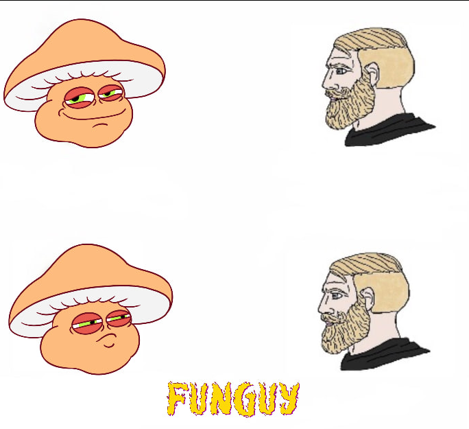 MemeMasterMindE's tweet photo. @FunguyonETH 🐸🍄A #FUNGUY's 'Yes' is the nebula where dreams are born, expanding across the cosmos! https://t.co/JuMlbhL2Yp