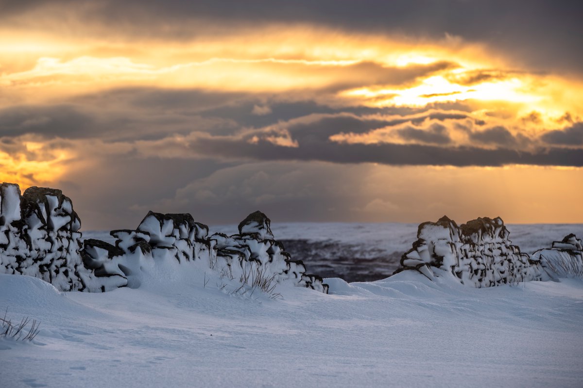 The Whitby Photographer tweet media