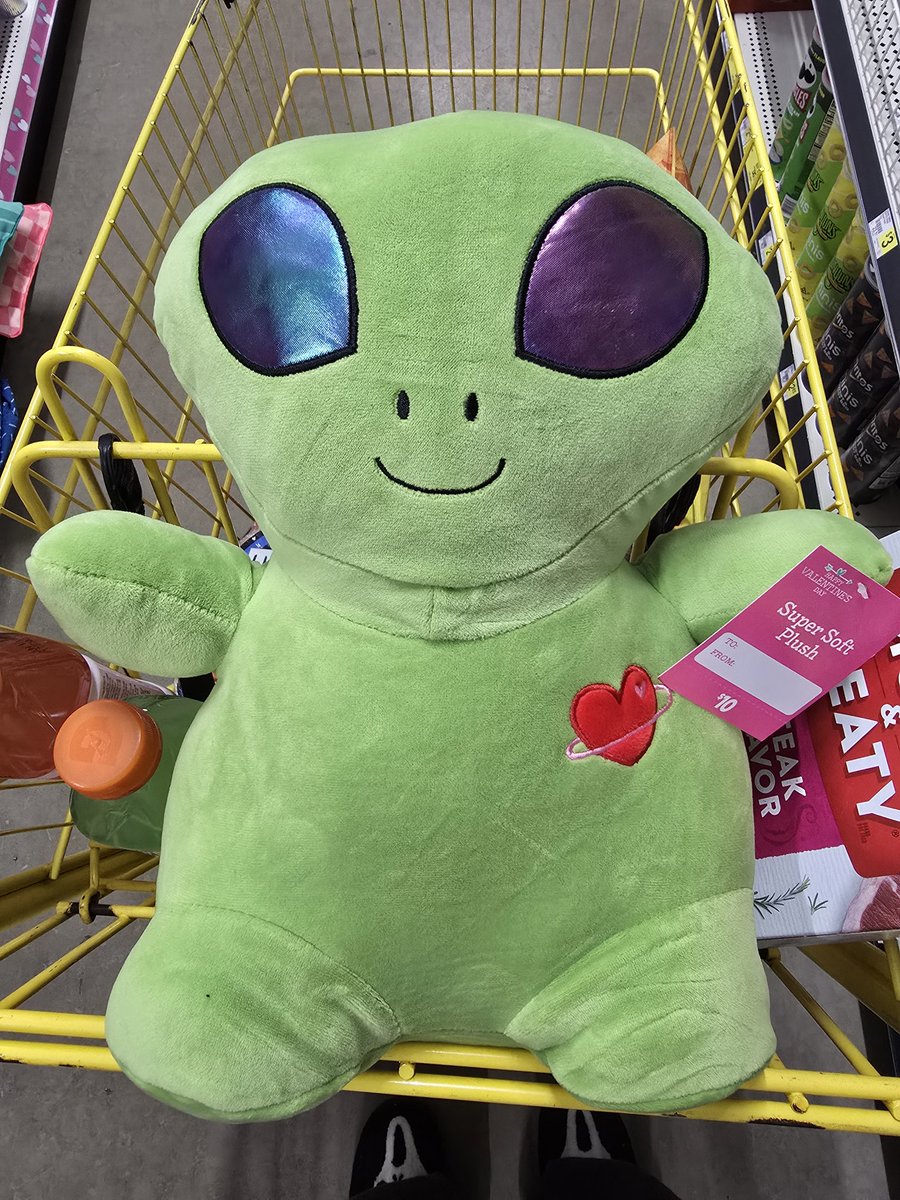 SmoakandAsh's tweet image. I JUST FOUND HIM IN A DOLLAR GENERAL &amp;amp; I AM TAKING HIM HOME WITH ME. 😍 Y'ALL KNOW IM NAMING HIM GUERIN, RIGHT?! 💜👽💚 #michaelguerin