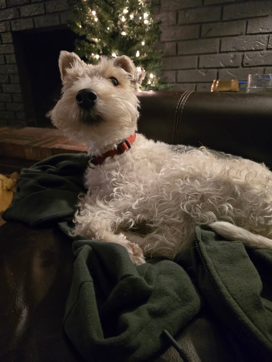 Penelope Pumpernickel says hi friends