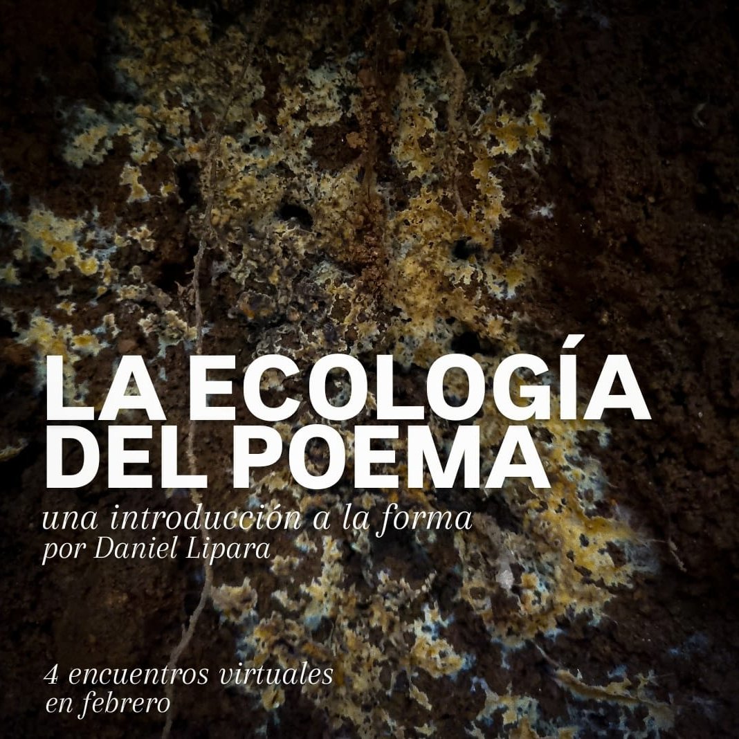 Robin Myers (@robinepmyers) on Twitter photo Gente hispanoparlante y poéticamente curiosa en todas partes, <a href="/daniel_lipara/">Daniel Lipara</a> arranca en febrero una edición virtual de este taller tan bello. Escríbanle para toda la info. Es un viaje increíble 💫 Gente hispanoparlante y poéticamente curiosa en todas partes, <a href="/daniel_lipara/">Daniel Lipara</a> arranca en febrero una edición virtual de este taller tan bello. Escríbanle para toda la info. Es un viaje increíble 💫