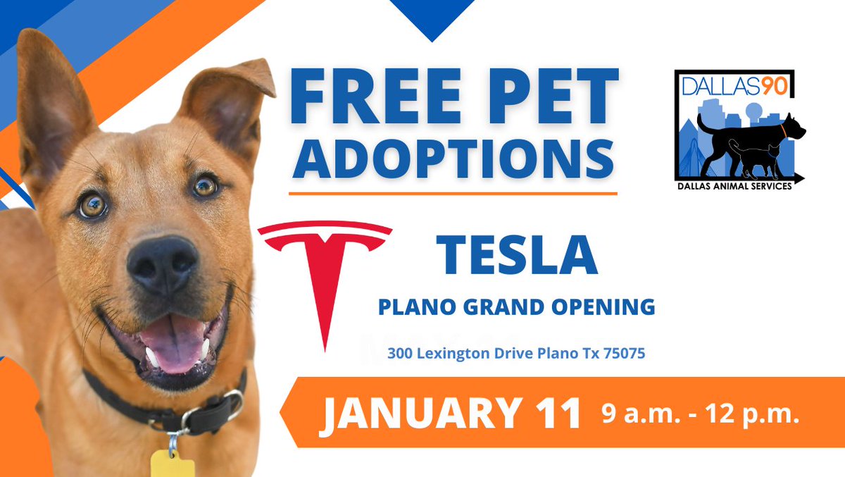 Come out to the grand opening of Tesla in Plano on Lexington Drive to meet adoptable pets from Dallas Animal Services!