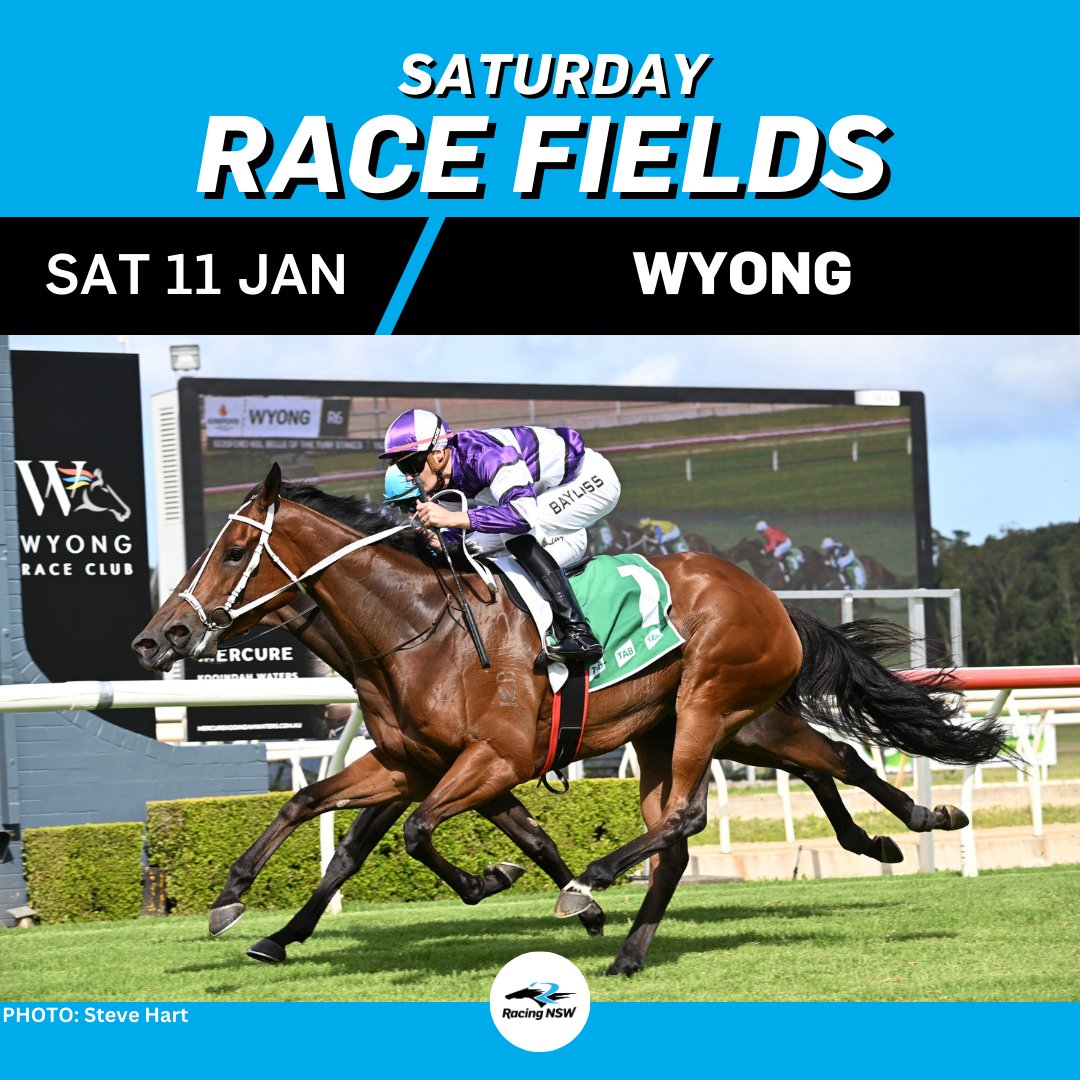 Attention turns to Wyong on Saturday for the club's first stand alone metro meeting and the running of the inaugural $500,000 The Lakes.

It's set to be a big day with 126 acceptances across the TEN races. 👇

FIELDS: tinyurl.com/34jnmahn