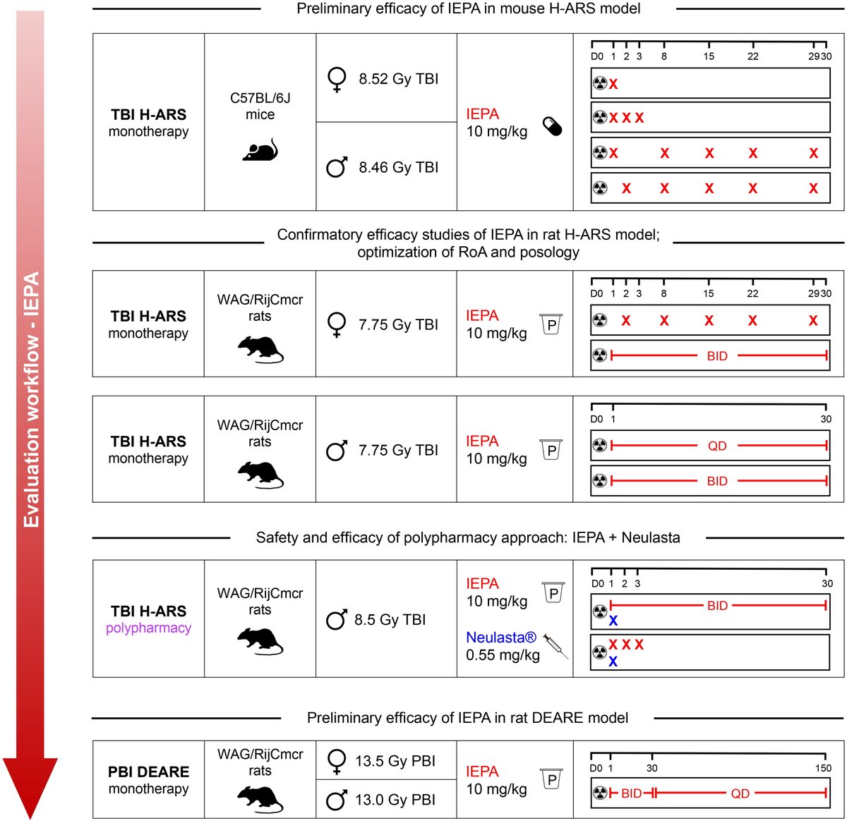 OPEN ACCESS: IEPA, a novel radiation countermeasure, alleviates acute radiation syndrome in rodents bit.ly/4h0IUgm 

#radiation #research #ijrb #science