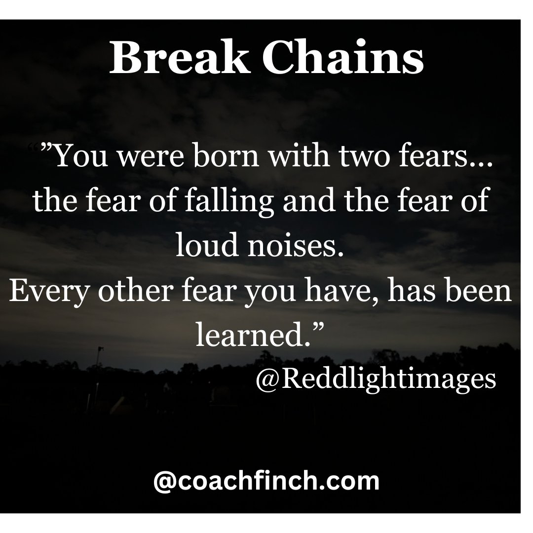 Your__Coach's tweet photo. #coachfinch #reddlightimages #lifecoaching #lifecoach #lifecoaching #fearlessness #fearless #unlearn #acclimate #beyou #growth #grow #mature #maturity #dontbescared #relentless #mentalhealth #mentalhealthawareness https://t.co/eFSfn71R5v