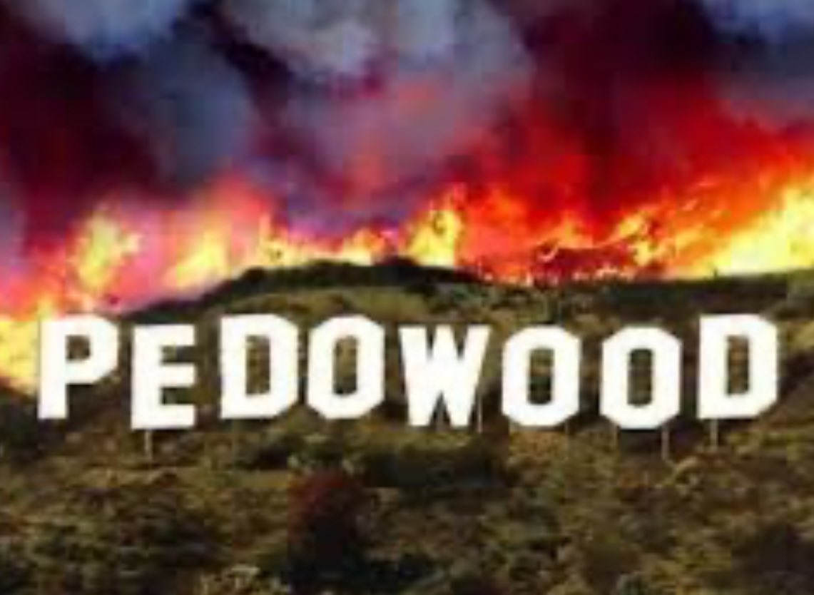 LIZ CROKIN tweet media