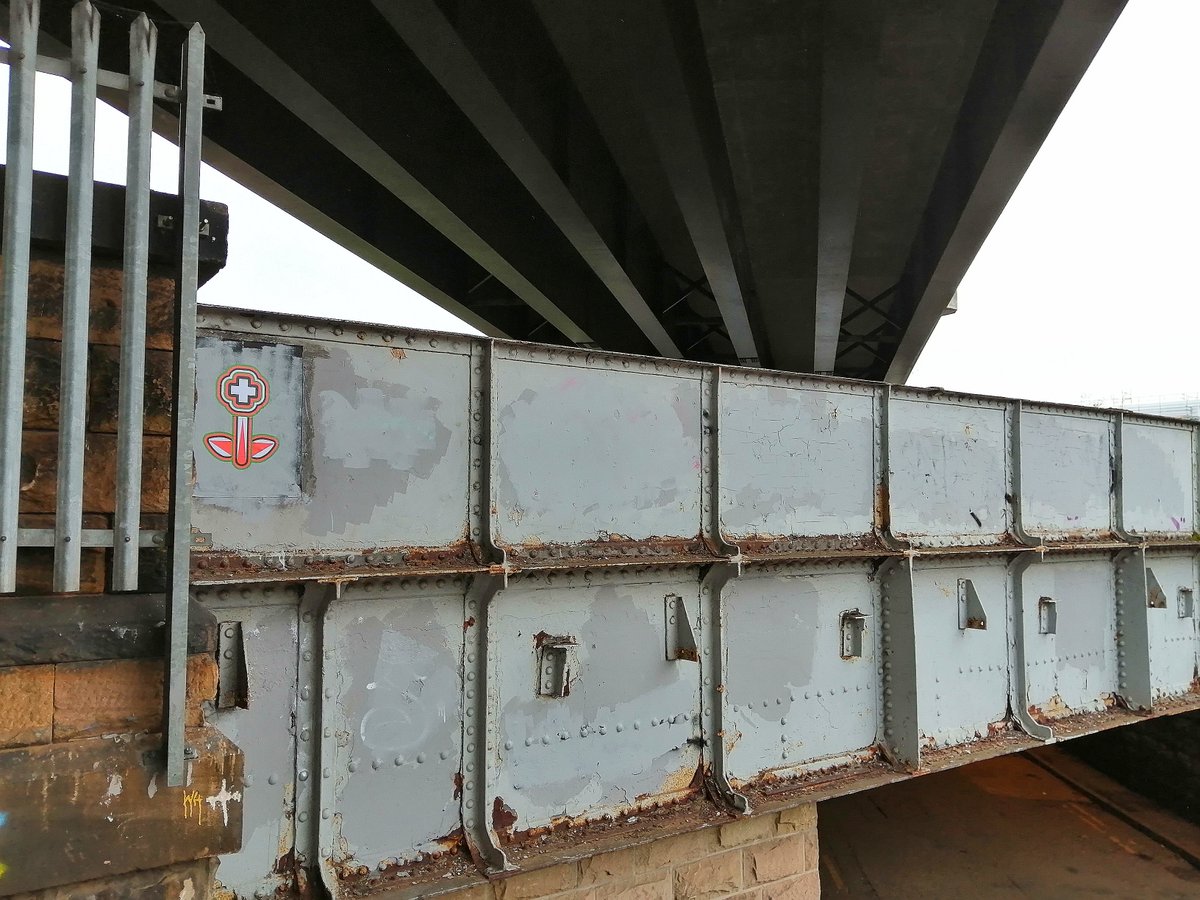 First bloom of 2025, spotted on a chilly morning in Derby, UK... 🕊️🌸🇨🇭😊
.
.
.
#flower #peace #endviolence #derbystreetart #streetart #pasteups #contemporaryart #urban #pasteup #Ilovepasteups #photography #streetarteverywhere #wallart #artwork #streetartphotography #ukstreetart