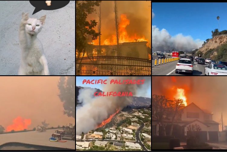 CryptQuorra❣️ tweet media