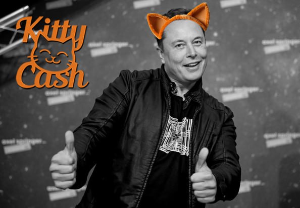 KittyCash tweet media