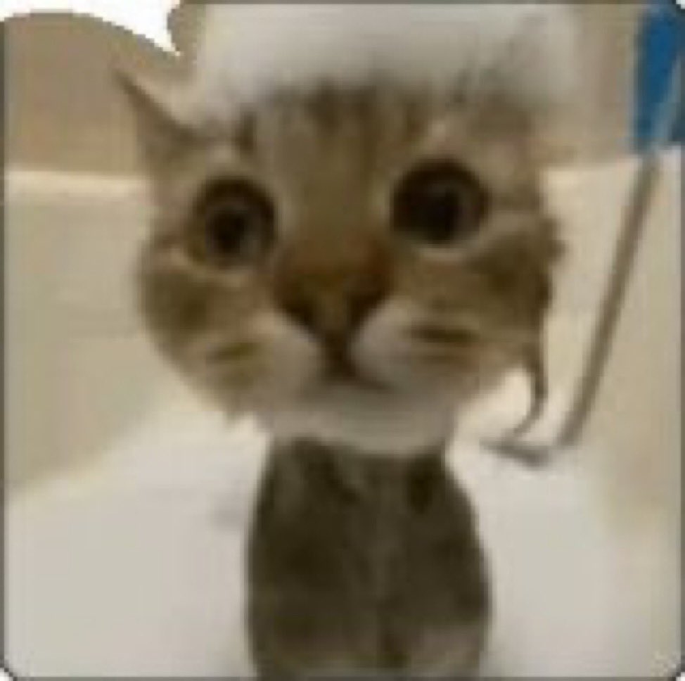 COLUPVATE's tweet photo. /  going back now, then I’ll write. https://t.co/Cn8kKX1KkN