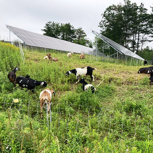 ReVision Energy tweet media