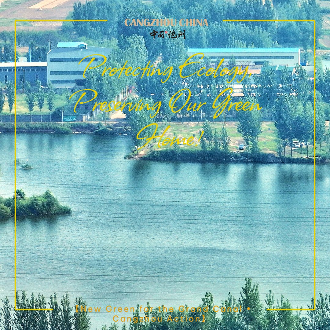 Cangzhou_China's tweet photo. 🌿 【New Green for the Grand Canal • Cangzhou Action】🌿 Episode 1: Protecting Ecology, Preserving Our Green Home! 💧🌳

Cangzhou is enhancing ecological space management along the Grand Canal by implementing the "Three Lines, One List" Ecological Environment Zoning Control Plan. Illegal soil excavation and other destructive activities are strictly prohibited, and all river discharge points are  sealed. Through the dynamic elimination of scattered and polluting enterprises, clear waters and green shores are becoming Cangzhou's new emblem. Join us in supporting the ecological preservation of the Grand Canal! 🌱

#Cangzhou #EcologicalGovernance #ProtectTheGrandCanal #GreenHome