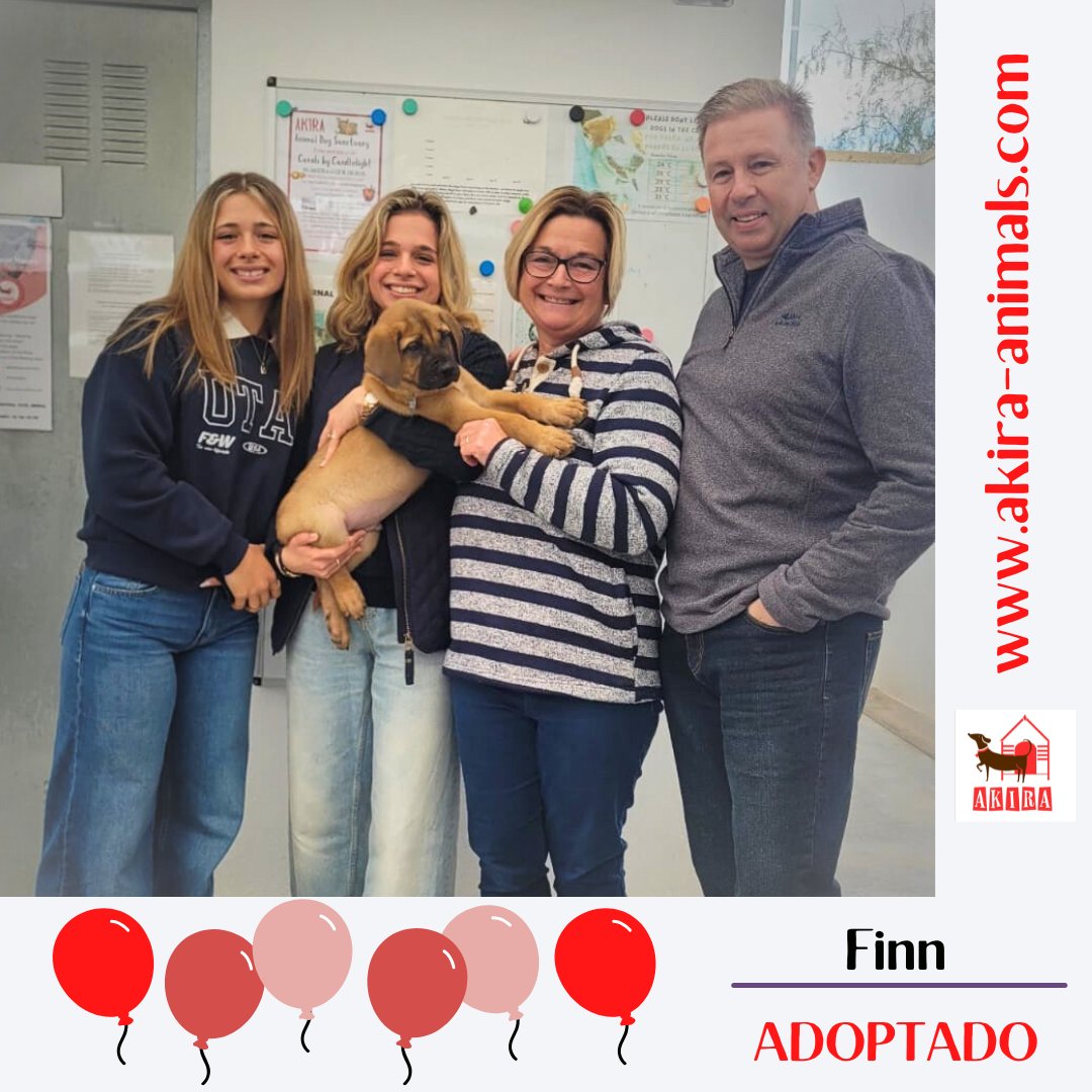 Thanks again for sharing the first of the 3 pups is off and the other 2 are reserved 😀  #retweetsrock. You guys make all the difference. <a href="/MillieOTLFP/">Millie🐾🌈Run free Bestie PixieTooth🐾🌈</a> <a href="/LisaClareRead2/">Lisa Clare Read 💙</a> <a href="/catgirl321/">Nutmeg's Crew🌻🇺🇦</a> <a href="/Nightowl400/">Owly</a> <a href="/Penny2449/">Penny</a> <a href="/Marlene59165254/">Marlene R</a> <a href="/VitCza/">Rocky 😸Tabitha 😽Bernee🐻🌈Vitcza🌈Barney</a> <a href="/Elliebelle90200/">Chrissie</a> <a href="/chrisndigndoug/">chrisdiganddougie</a>