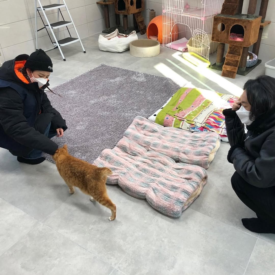 WeLoveDara's tweet photo. [ADMIN POST]

May happy and unforgettable memories of him bring comfort at this sad time. 🌼🕊️

🤍🤍🤍🤍🤍🤍🤍🤍🤍🤍 https://t.co/4JmJ1Wgqgy