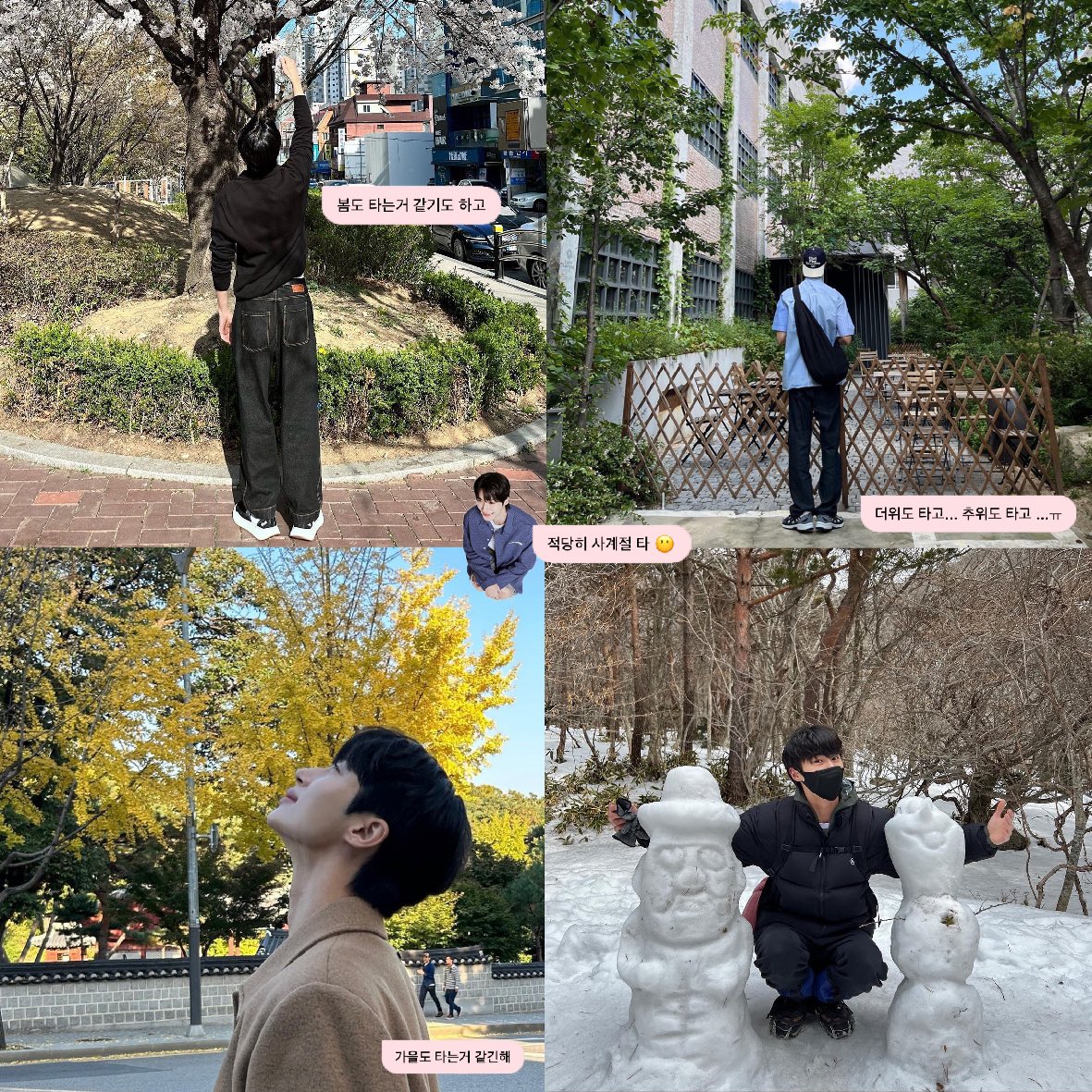 통이📮 tweet media