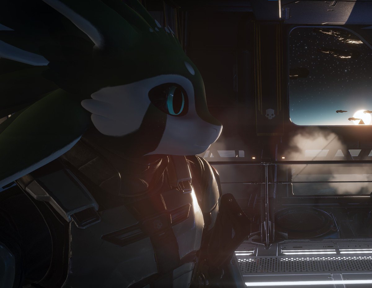 Diligence
#Spirivali #Avali #Helldivers