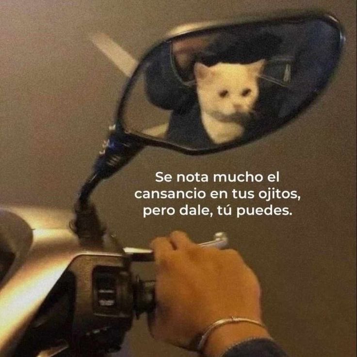 frasesfavor's tweet image. Yo se que puedes 🥹