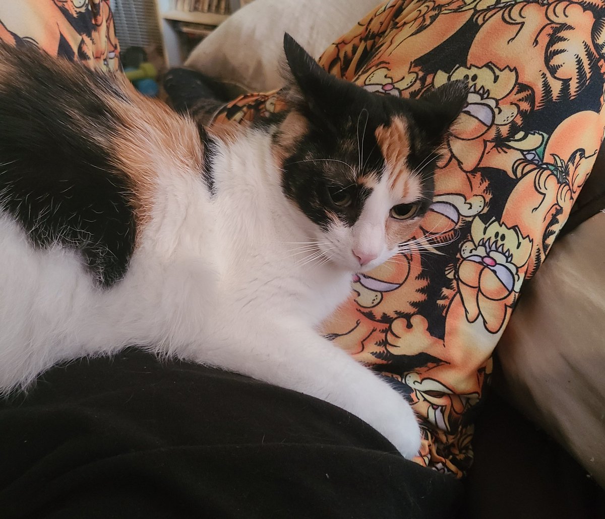 David Knotts🏳️‍🌈 tweet media