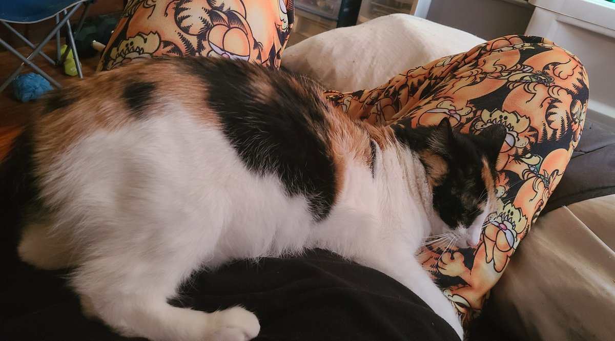 David Knotts🏳️‍🌈 tweet media