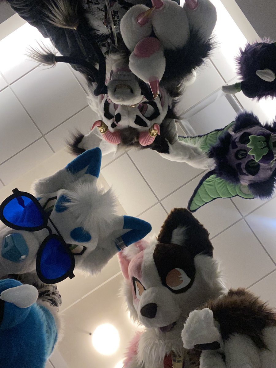 RockNRoll_Red's tweet image. PDFC was such a blast, in no small part because we were rooming with some of the most chill and fun people. Shout out to @dragonofalltime , @BitingBatStudio , and Drauf for hanging out with me and Nakai throughout the convention and bringing us lots of laughs. Y’all are awesome!