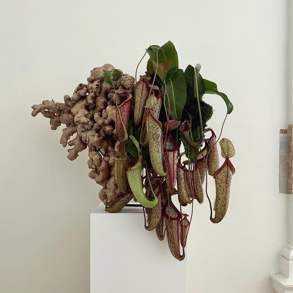 antiyohji's tweet image. Some favourites pulled from my saved tab on ig, doing some research for my homework.