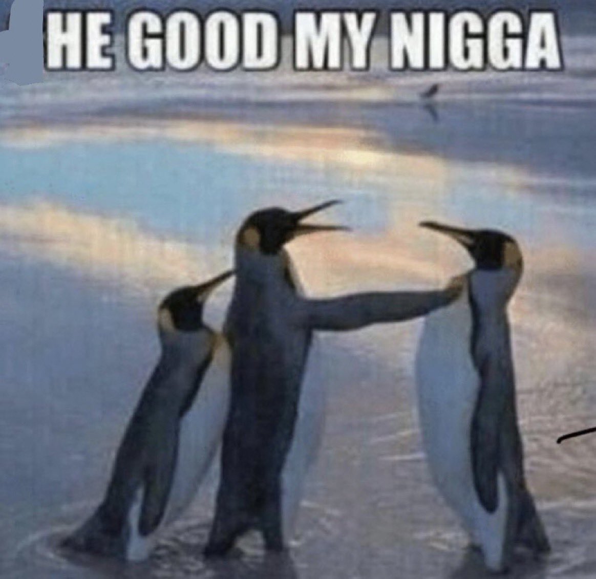 MASTER NELSON rates everything ⚒ (@themasternelson) on Twitter photo 