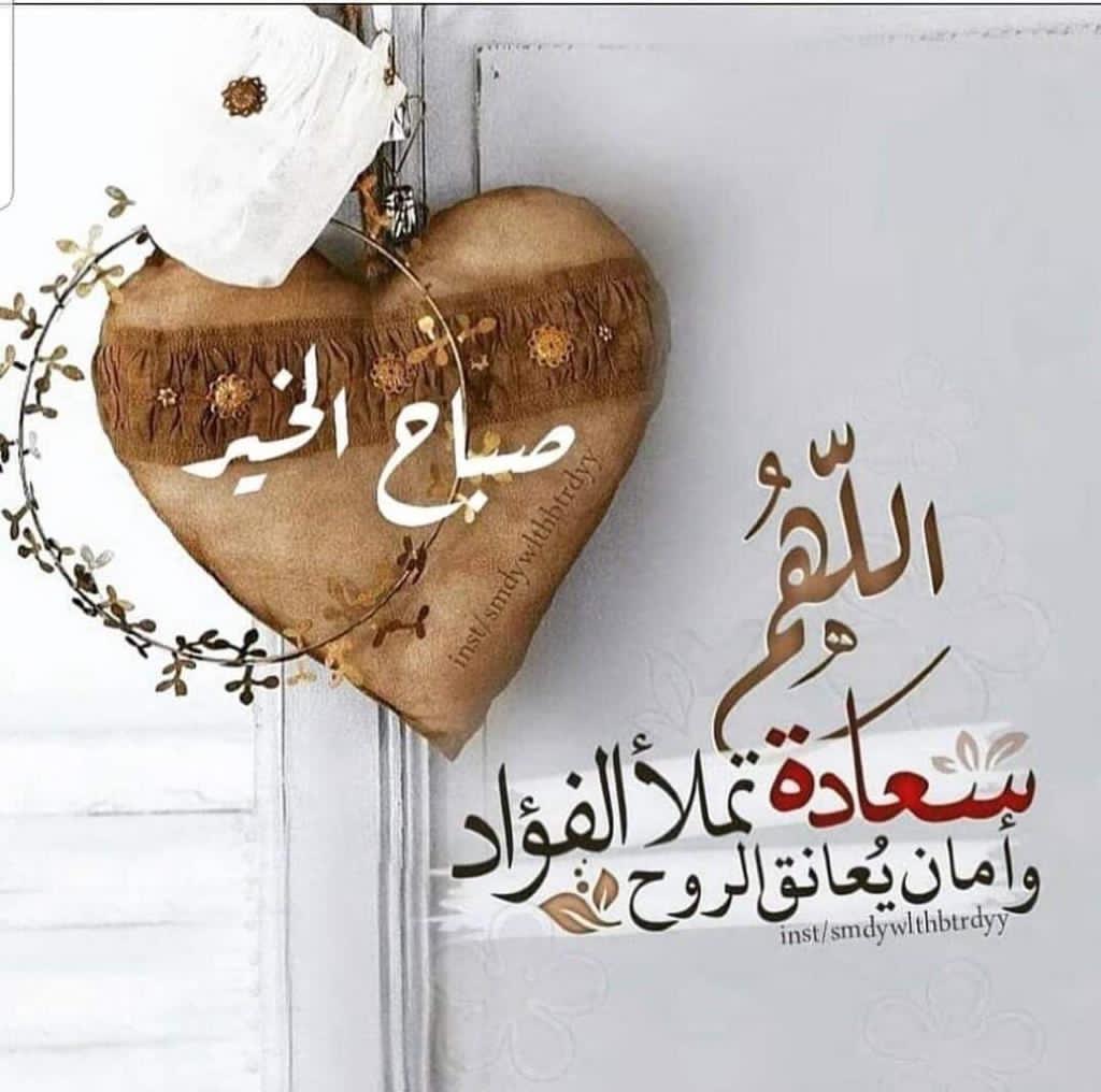 fatima Ahmed (@gerw_ahmed) on Twitter photo 