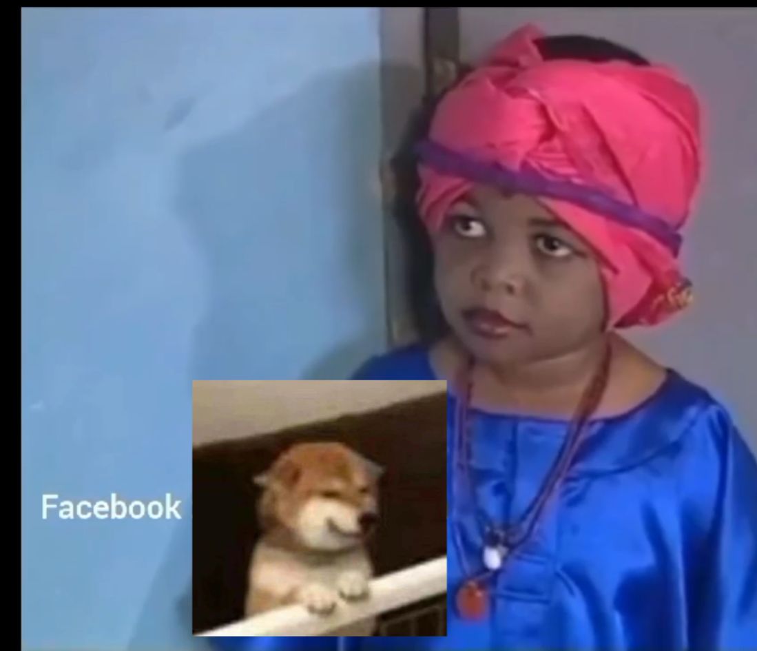 alexiconnn's tweet image. una no even dey rate Nigerians again 😂😂