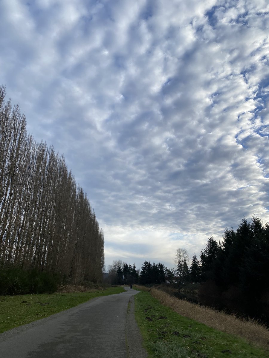 Dana M. Lewis | #OpenAPS 🤖 tweet media