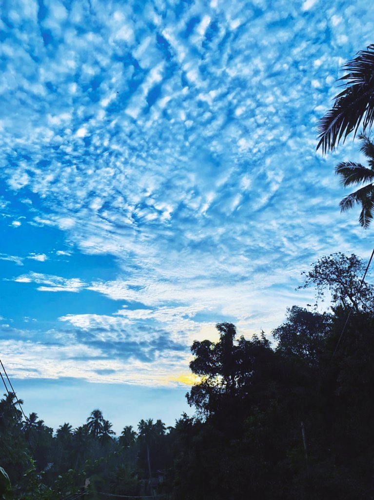 ๐๐๐ฟ๐ผ๐ฟ๐ฎ ๐๐ผ๐ฟ๐ฒ๐ฎ๐น๐ถ๐ ๐๐ tweet media