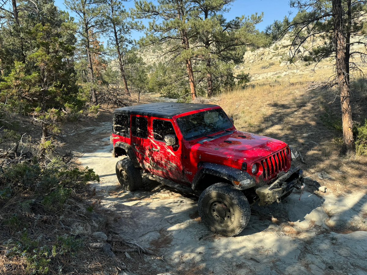 john_kellems's tweet image. I miss summer😓